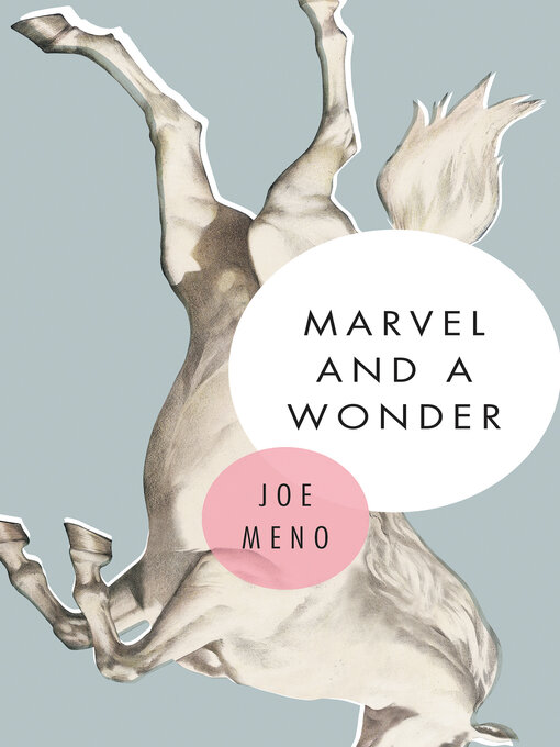 Détails du titre pour Marvel and a Wonder par Joe Meno - Disponible